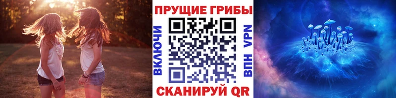 Псилоцибиновые грибы GOLDEN TEACHER Вихоревка