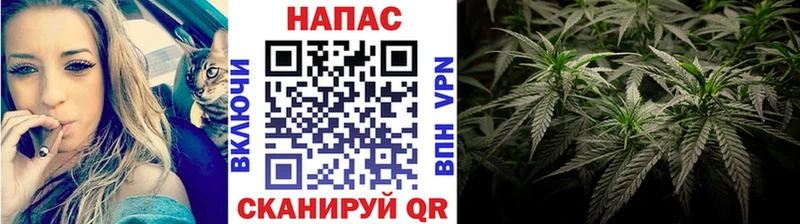 Канабис планчик  Вихоревка 